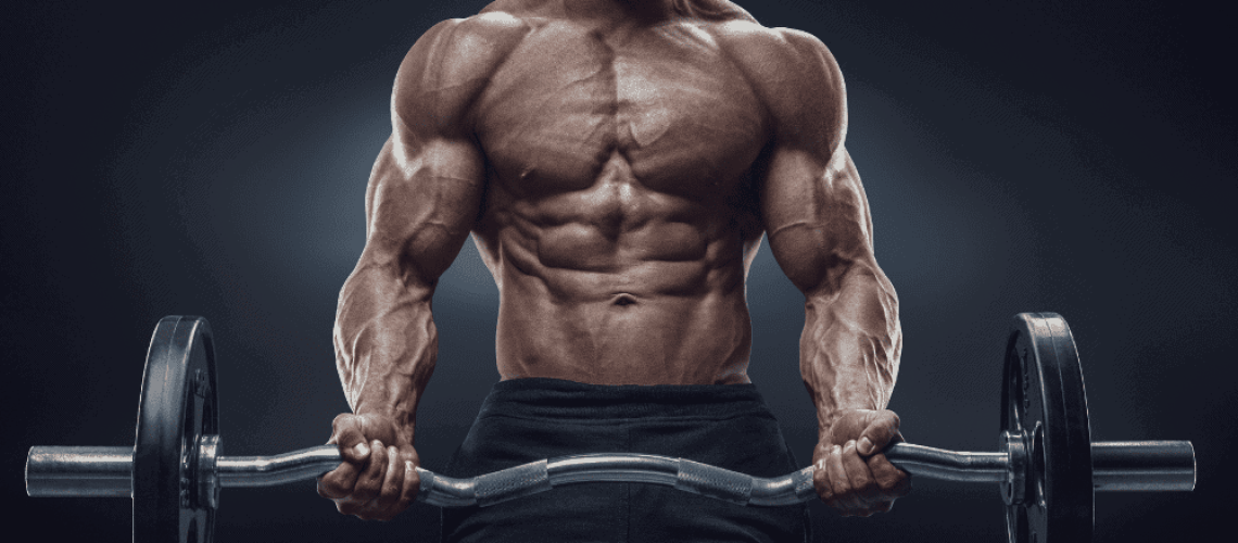 Comprendre l'hypertrophie musculaire par Institut FPP